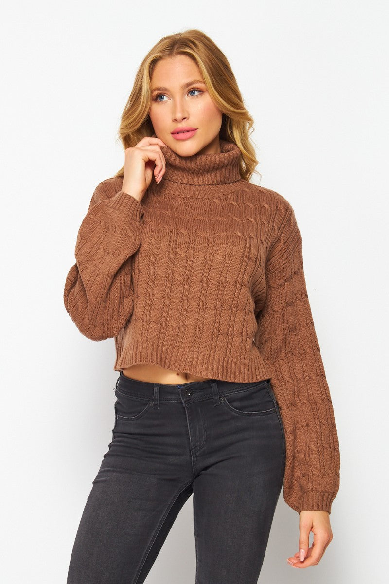 Fuzzy Soft Turtleneck Textured Sweater