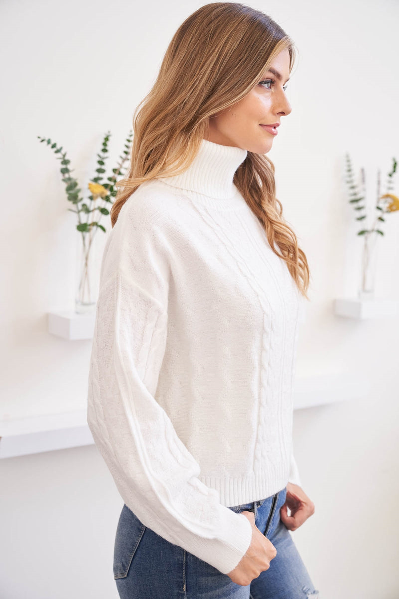 Ivory Turtle Neck Sweater